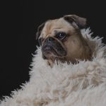 blog-post-118-list-img