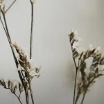 blog-post-73-list-img