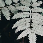 blog-post-74-list-img